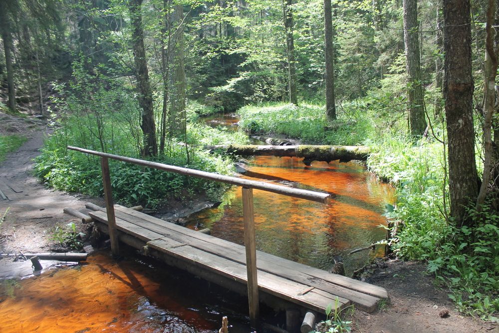 Photograph by Денис Птюшкин