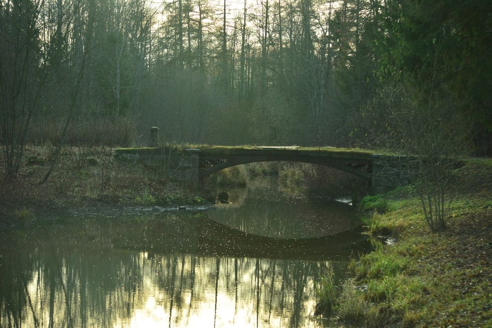 Photograph by Денис Птюшкин