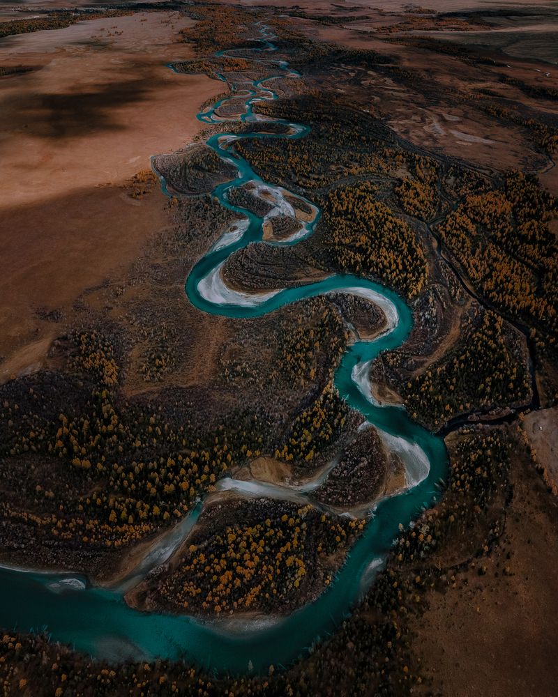 Фотография автора Анастасия Сауль