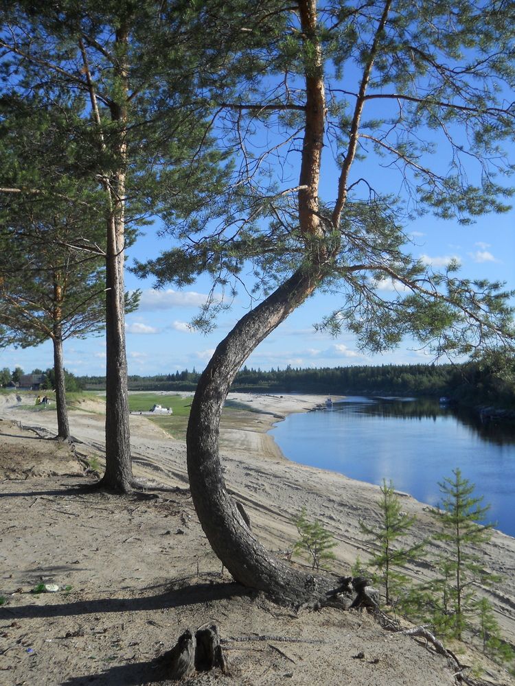 Photograph by Денис Птюшкин