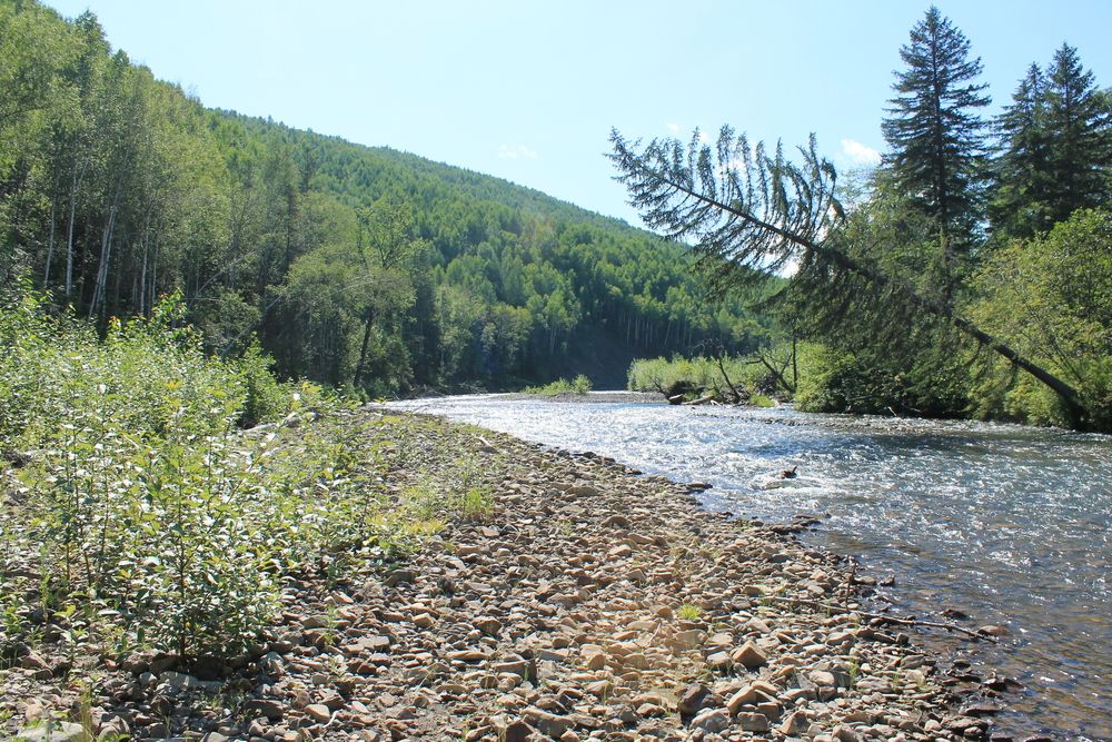 Photograph by Денис Птюшкин