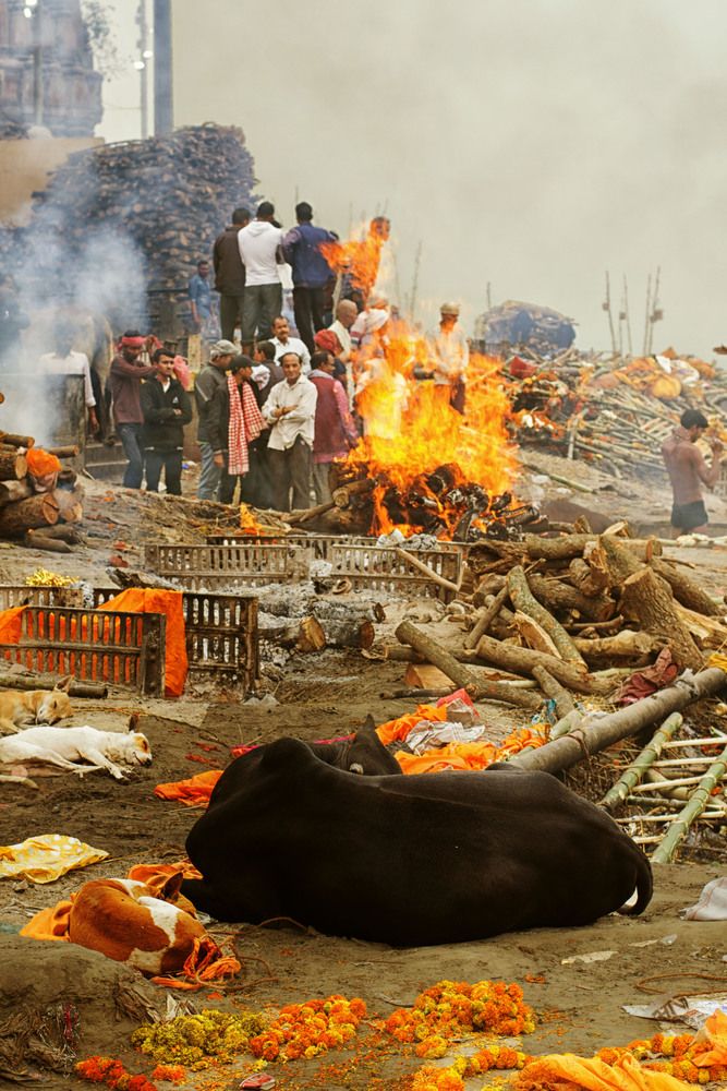 Photograph by Abhijeet Srivastava