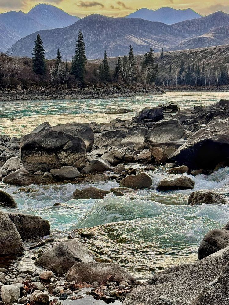 Фотография автора Галина Шиманцова