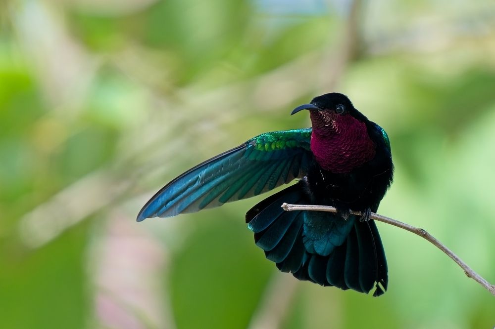 Photograph by Jerome Foster
