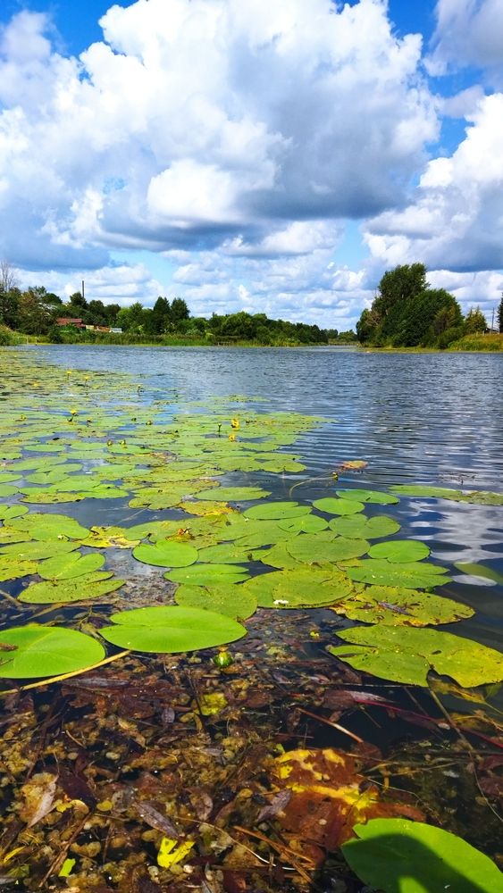 Photograph by Юлия Морозова