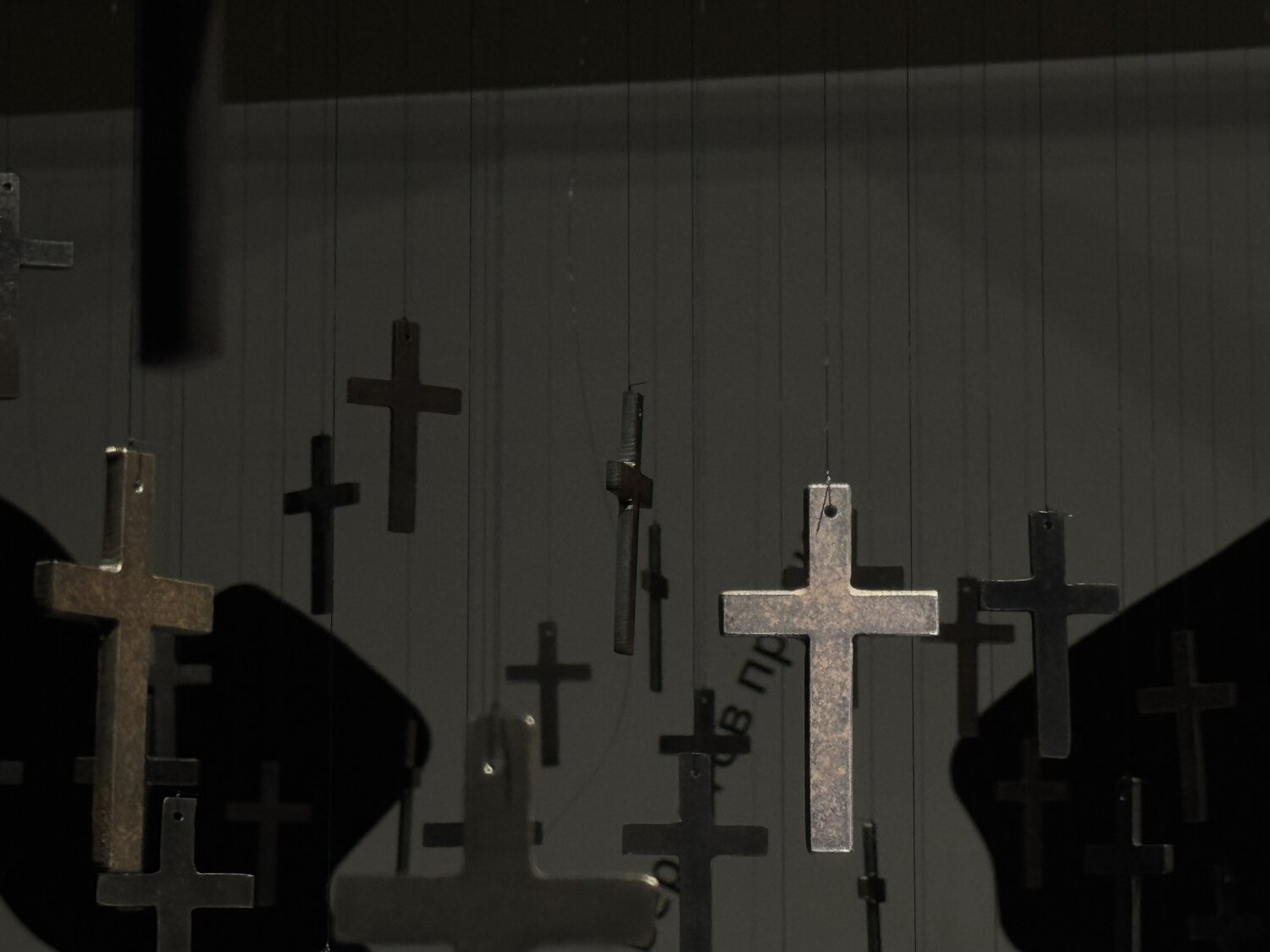 Photo #13299786