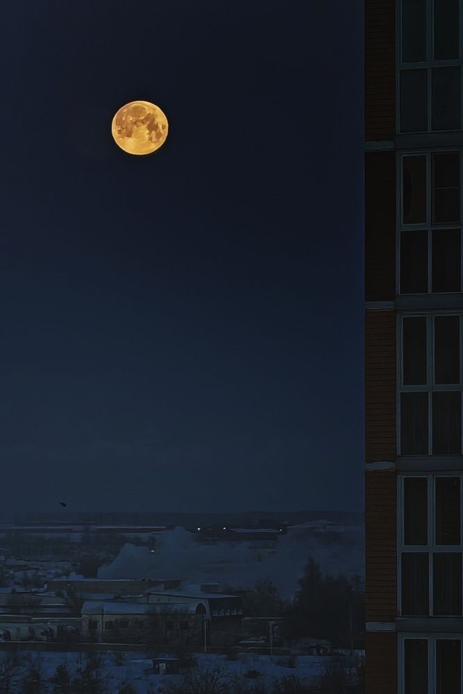 Photograph by Ольга Стебенева