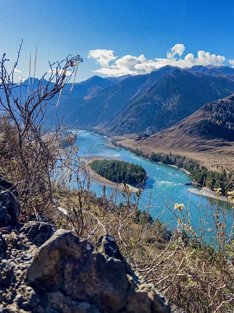 Фотография автора Галина Шиманцова