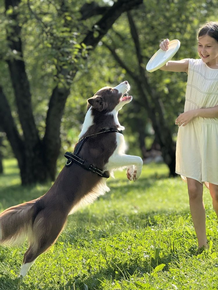 Photograph by Elena Perova