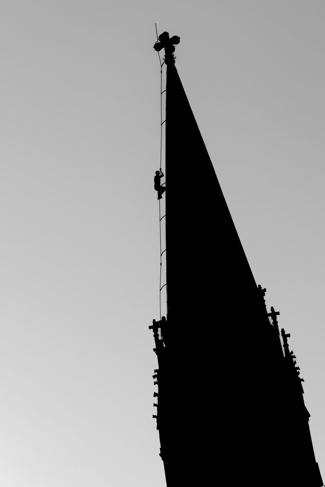 Photo #13299897