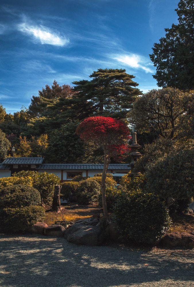 Tokyo