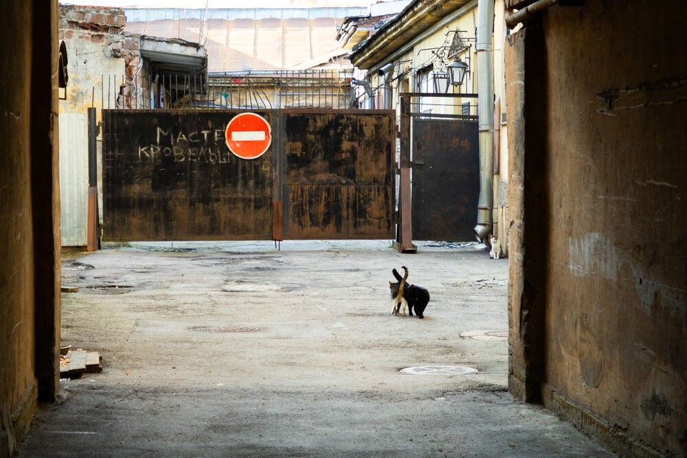 Photograph by Константин Микая