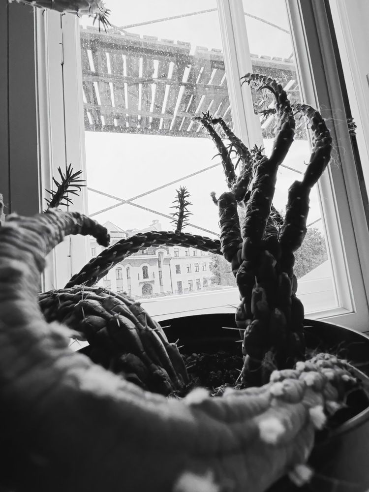 Photograph by Кадиров Азат