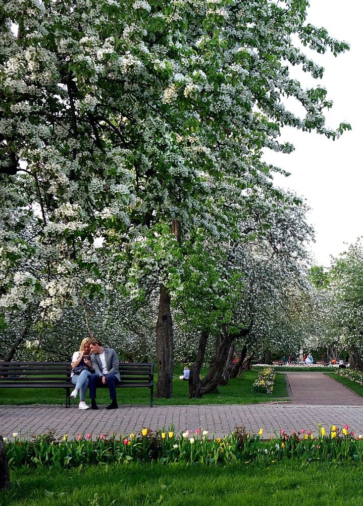 Photograph by Жучков Никита