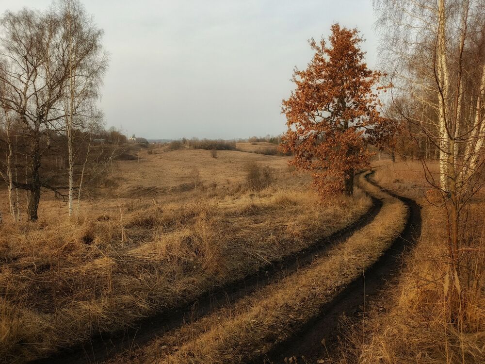 Photograph by Кондрашова Светлана