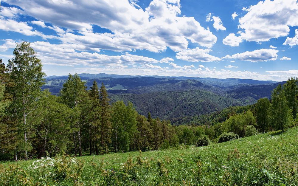 В предгорьях Алтая