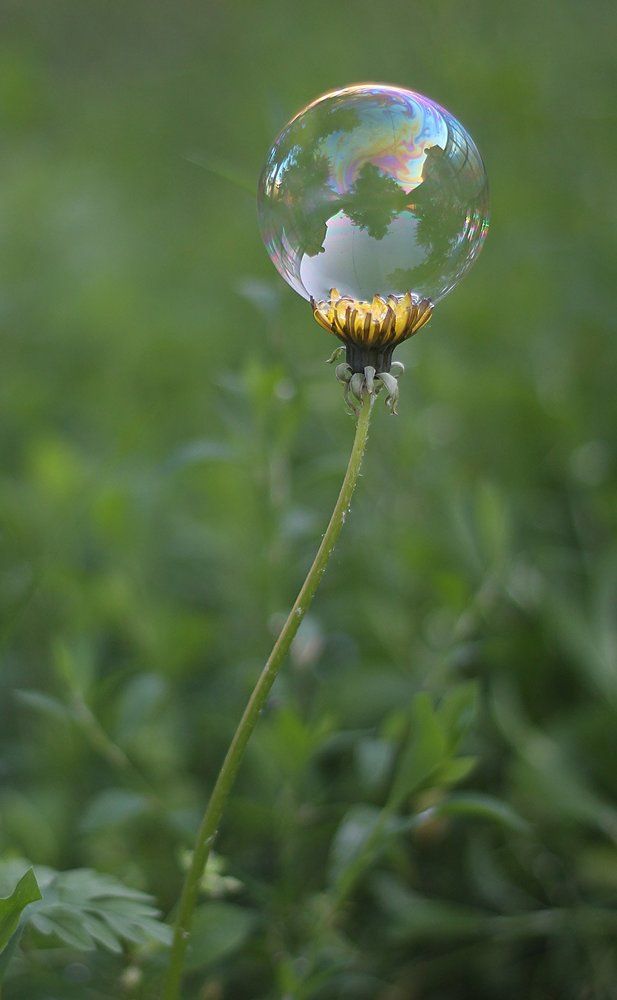 Photograph by Викулов Николай