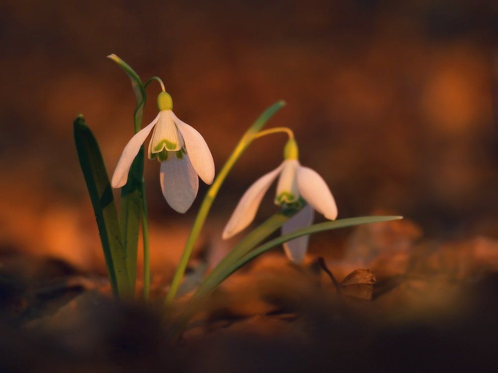 Согреться в лучах солнца