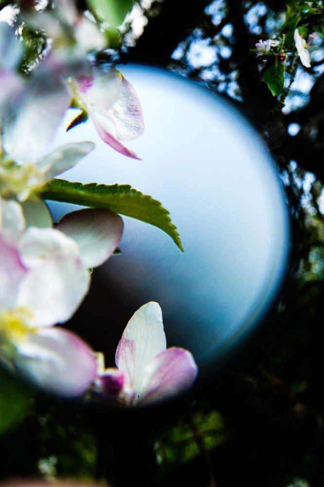 Photograph by Гиль Алеся