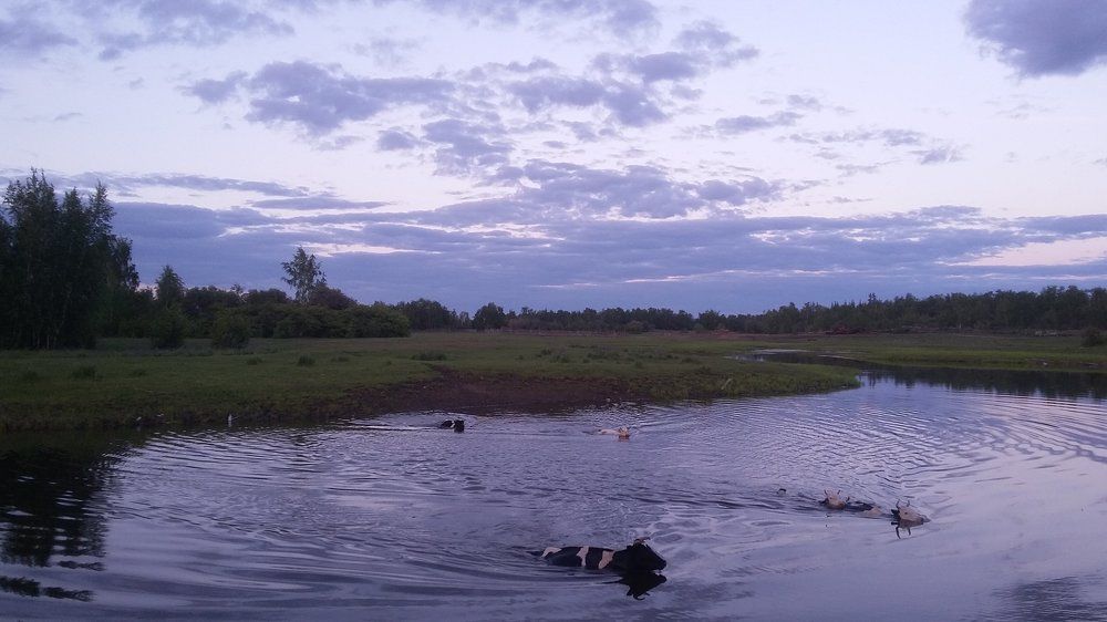 Photo #1332349