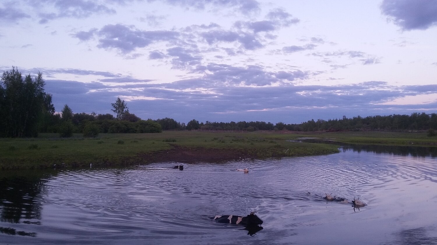 Photo #1332349
