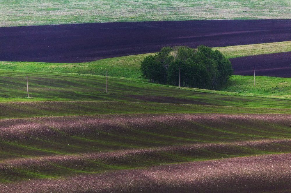 Родные просторы