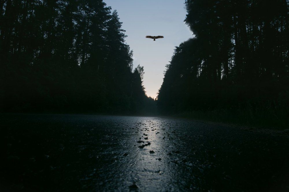 Провожающий солнце, встречающий луну.