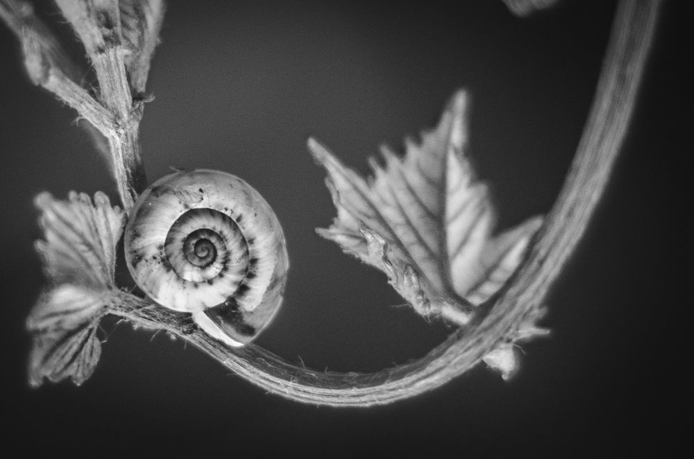 Photograph by Savranskaya Vika