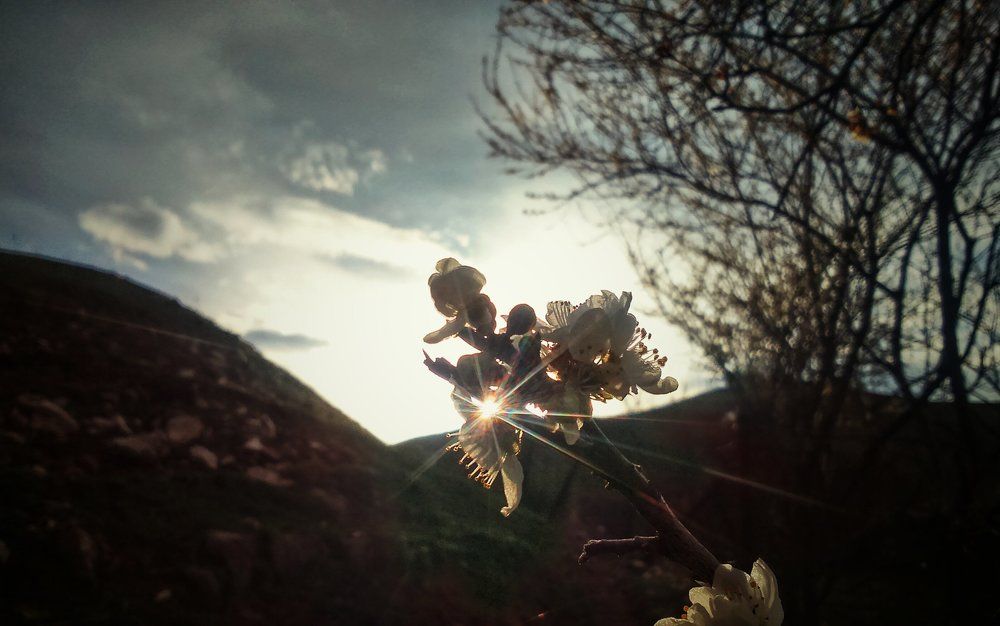 Photograph by Мадина Рахаева