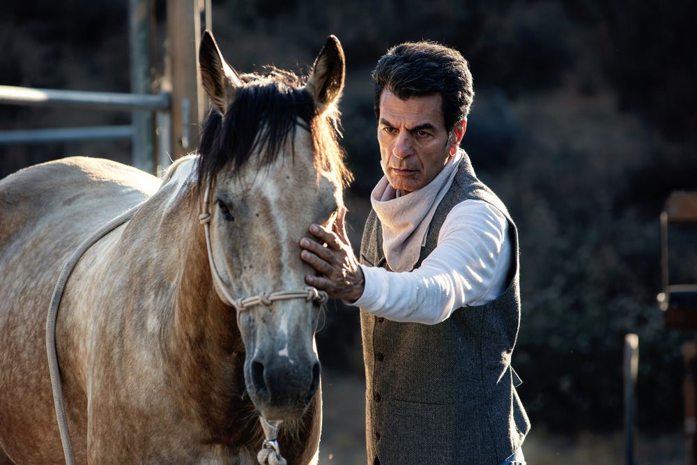 Фотография автора Ramin Barzegar