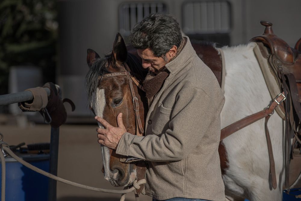 Фотография автора Ramin Barzegar