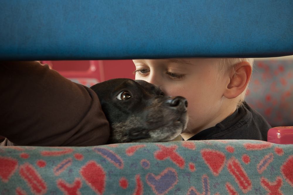 Фотография автора Ramin Barzegar