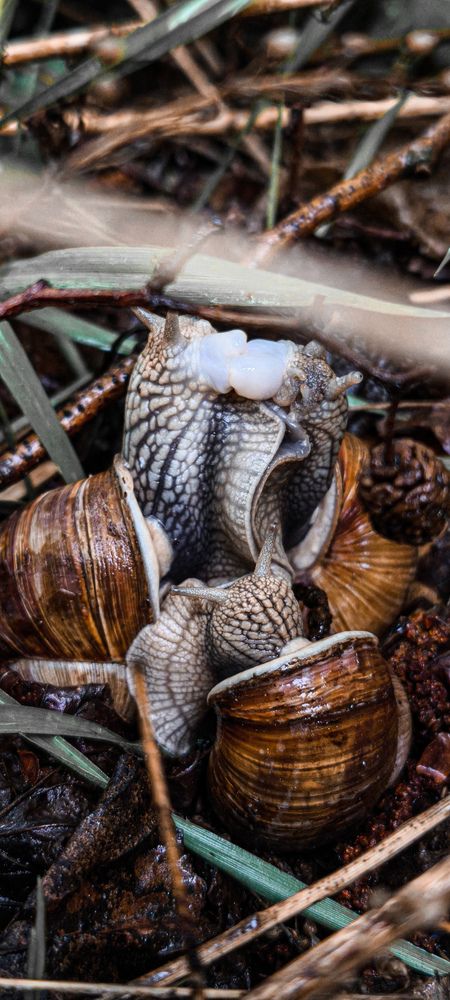 Photograph by Eugenia Blinova