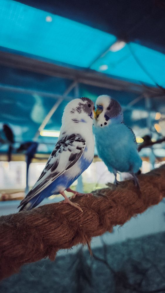 Photograph by Eugenia Blinova