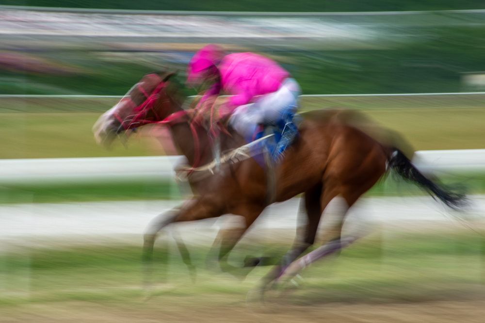 Фотография автора Negovan Pesic