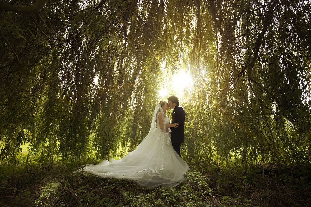 Photograph by Lia Lo