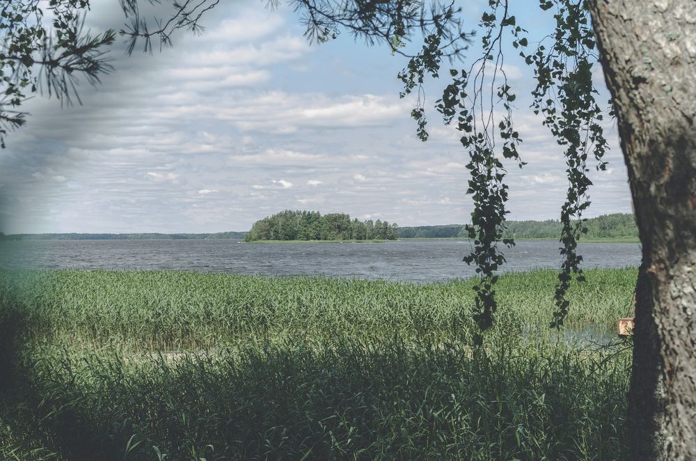 Photograph by Людмила Куприянова