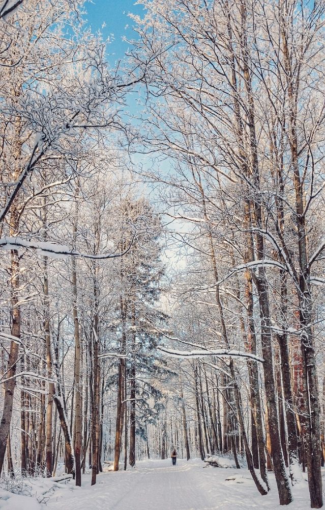 Photograph by Valerya Vasileva