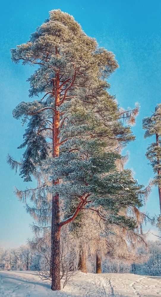 Photograph by Valerya Vasileva