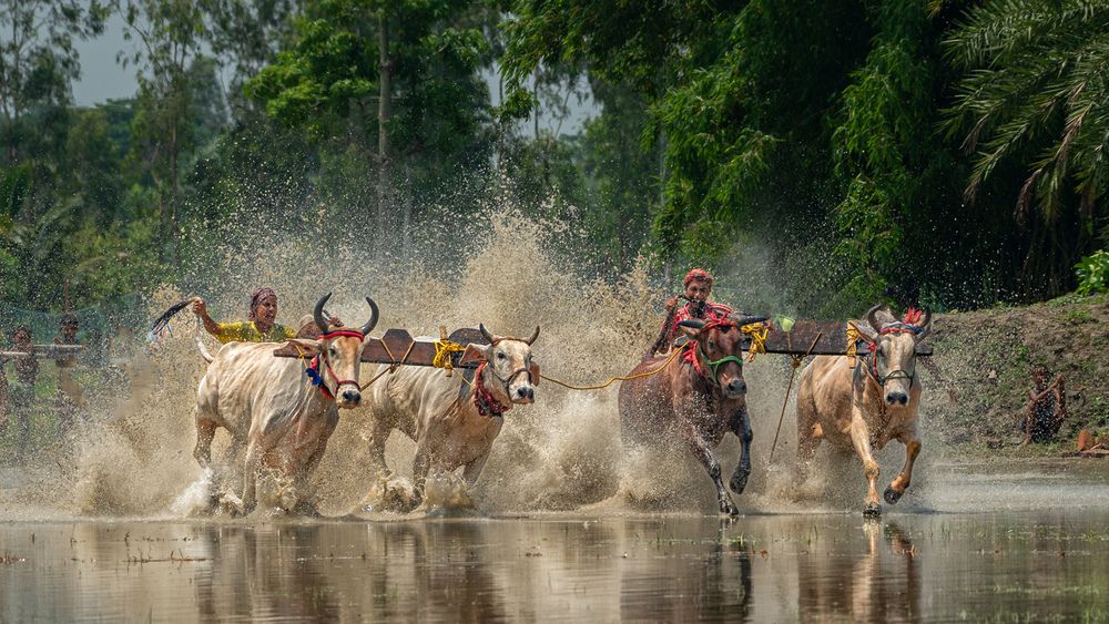 Photograph by Ashim Chakravarty