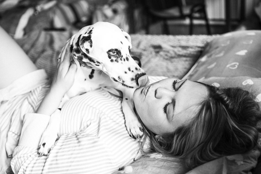 Photo #13300339