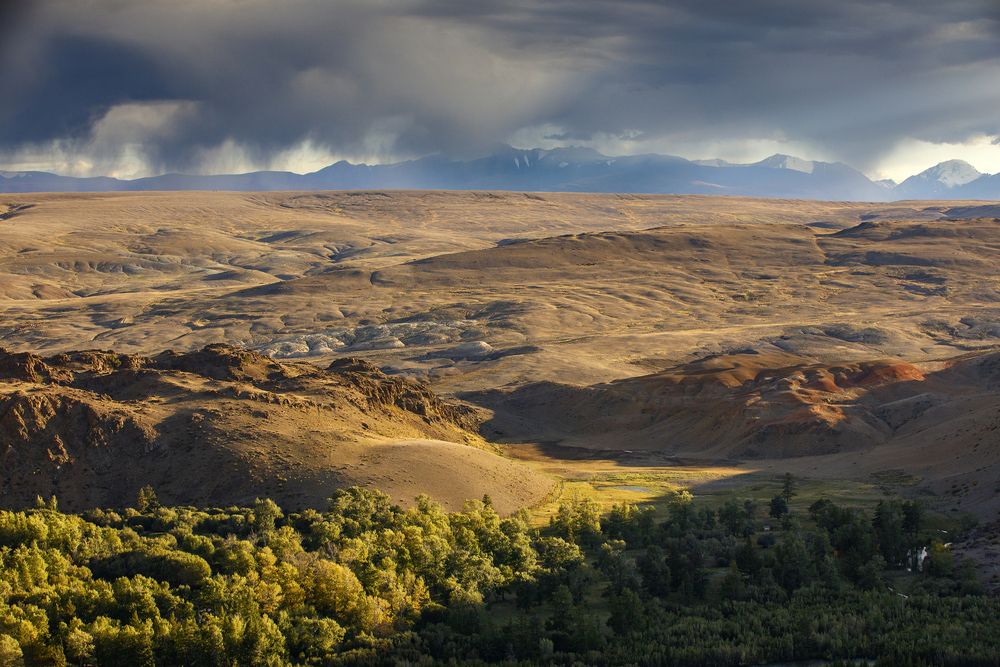 Photograph by Дмитрий Юдин
