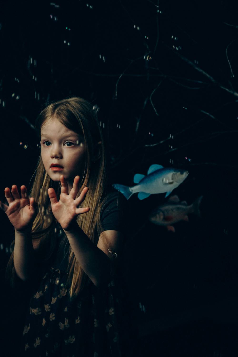 Фотография #13300426