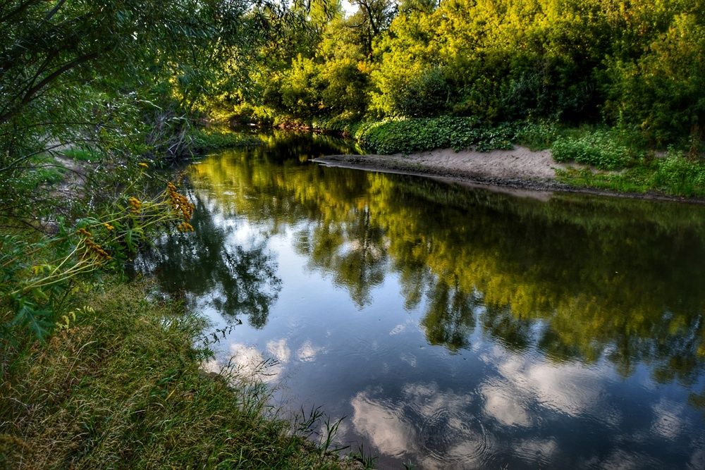 Фотография автора Бобкин Алексей