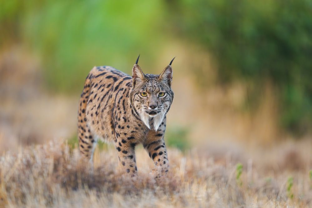 Photograph by Lyubomir Momchilov