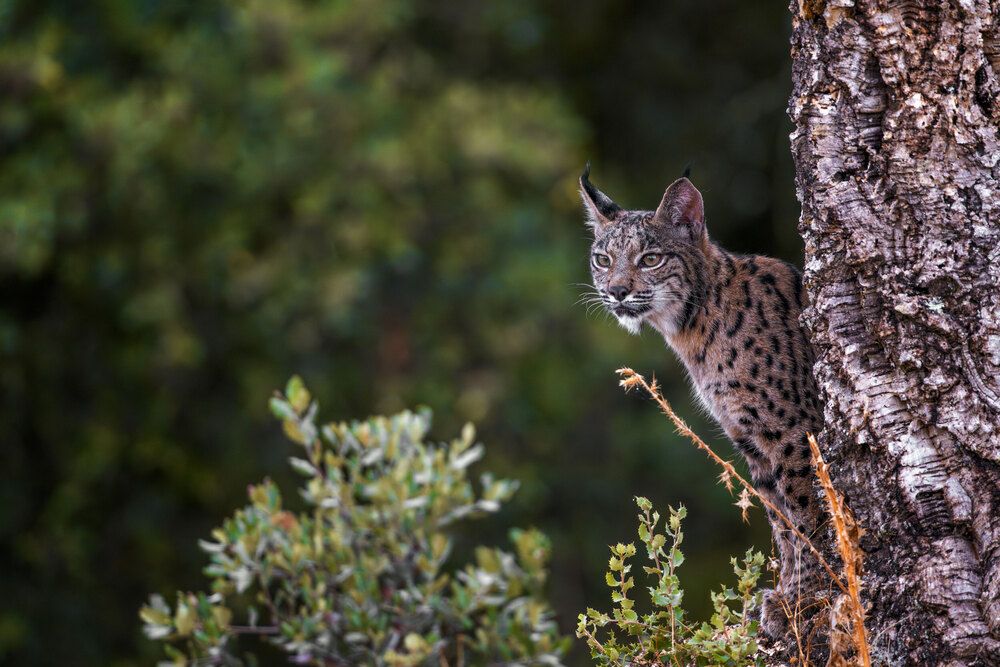 Photograph by Lyubomir Momchilov