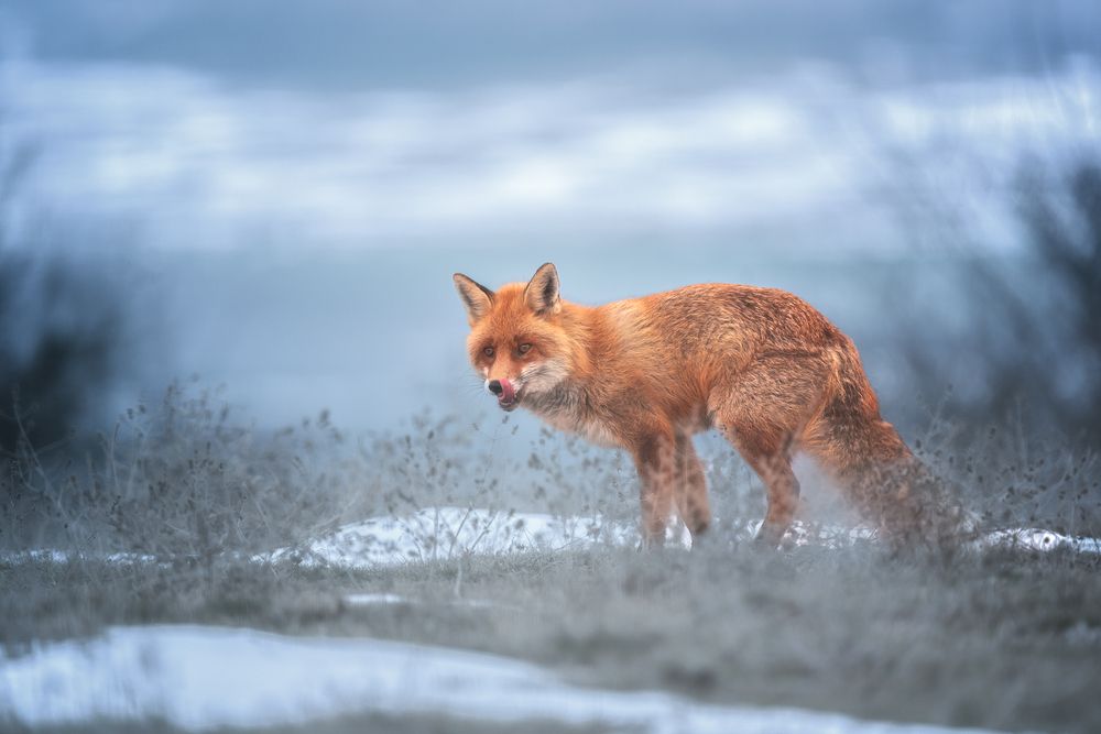 Photograph by Lyubomir Momchilov