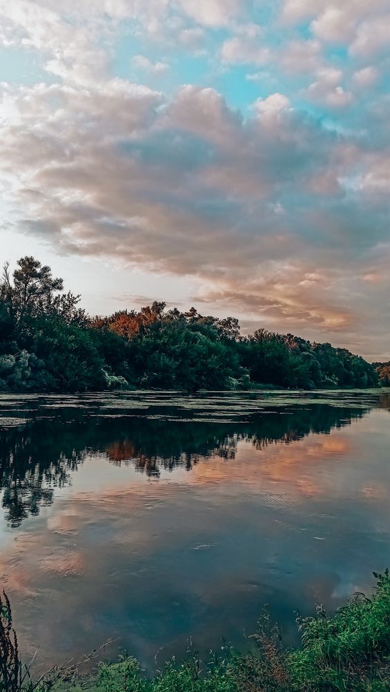 Photograph by Людмила Горячева