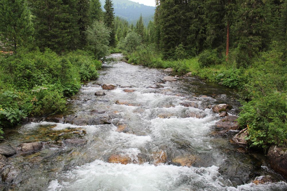 Фотография автора Людмила Таерова
