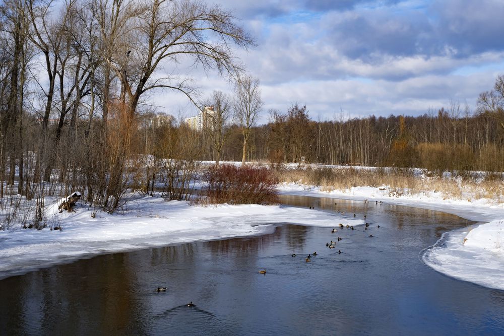 Photograph by Дмитрий Поляков